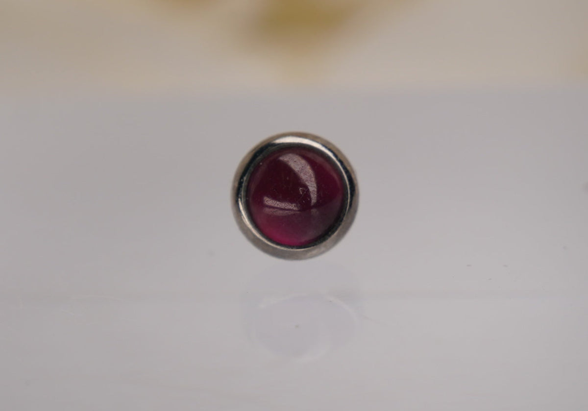 Red Paua Shell