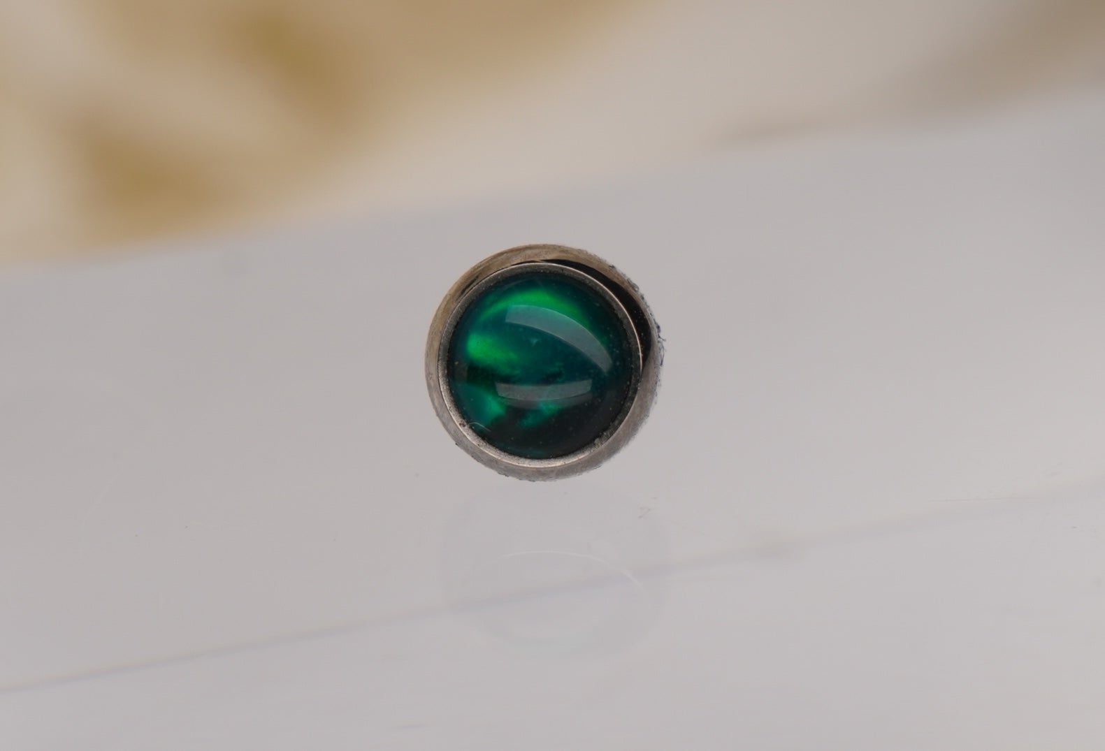 Green Paua Shell
