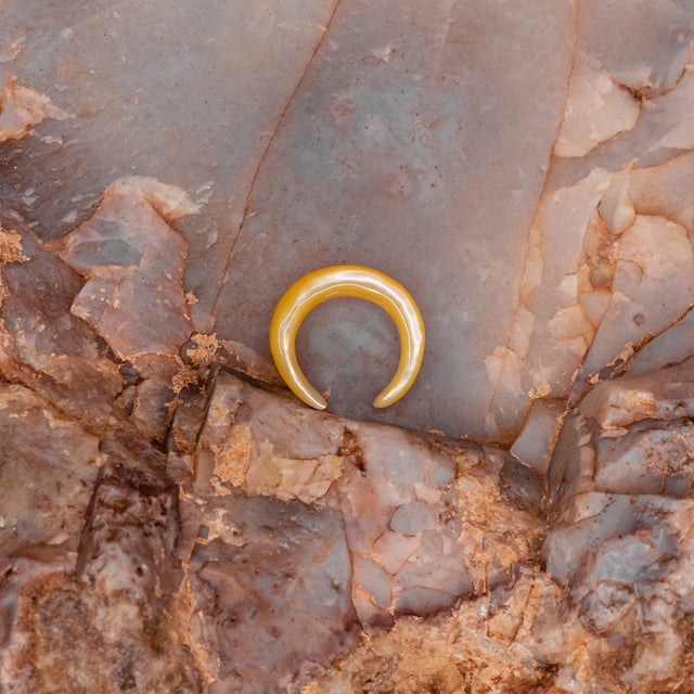 Septum-Shell