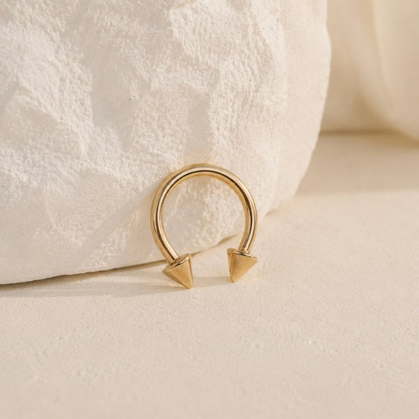 Gold Circular Barbell