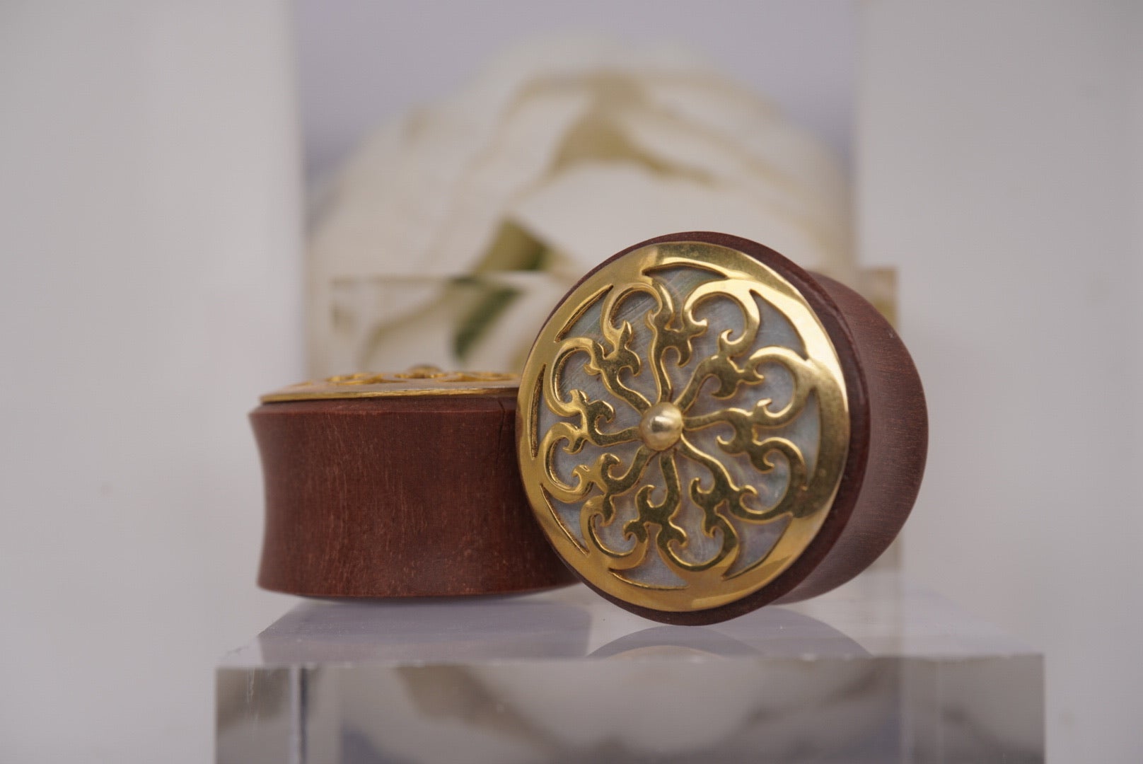 Plugs
