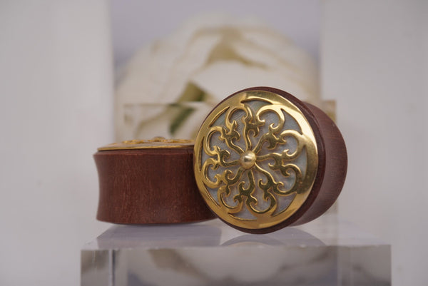 Plugs