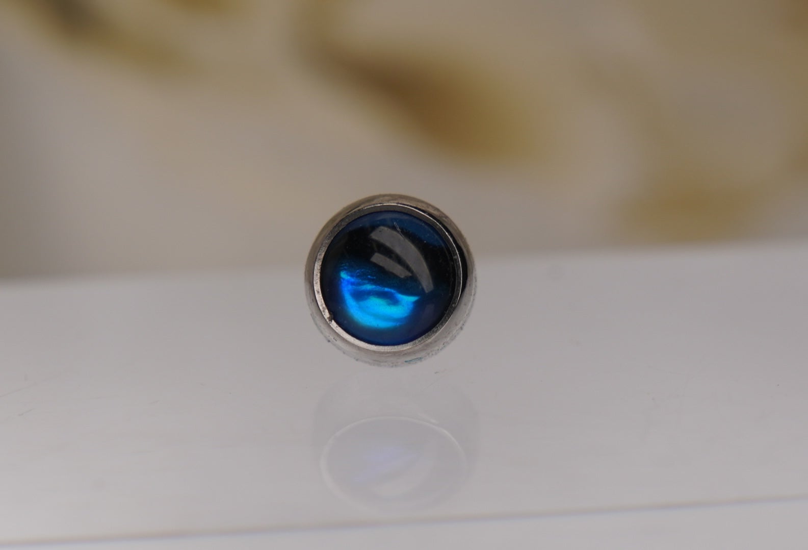 Blue Paua Shell