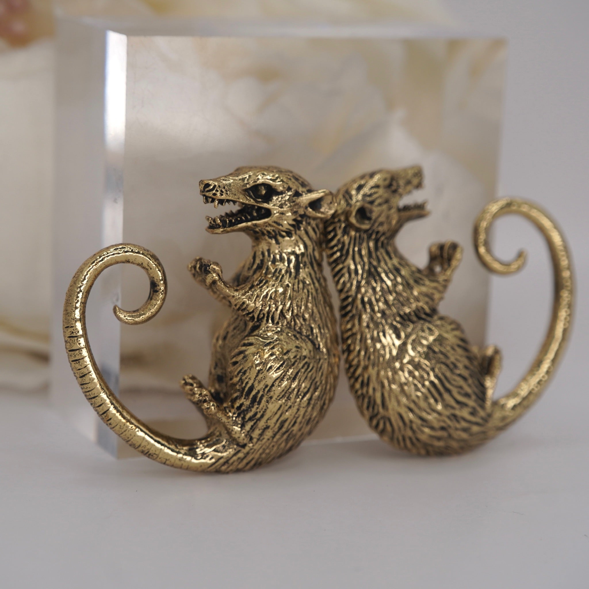 Opossum Ear Weights