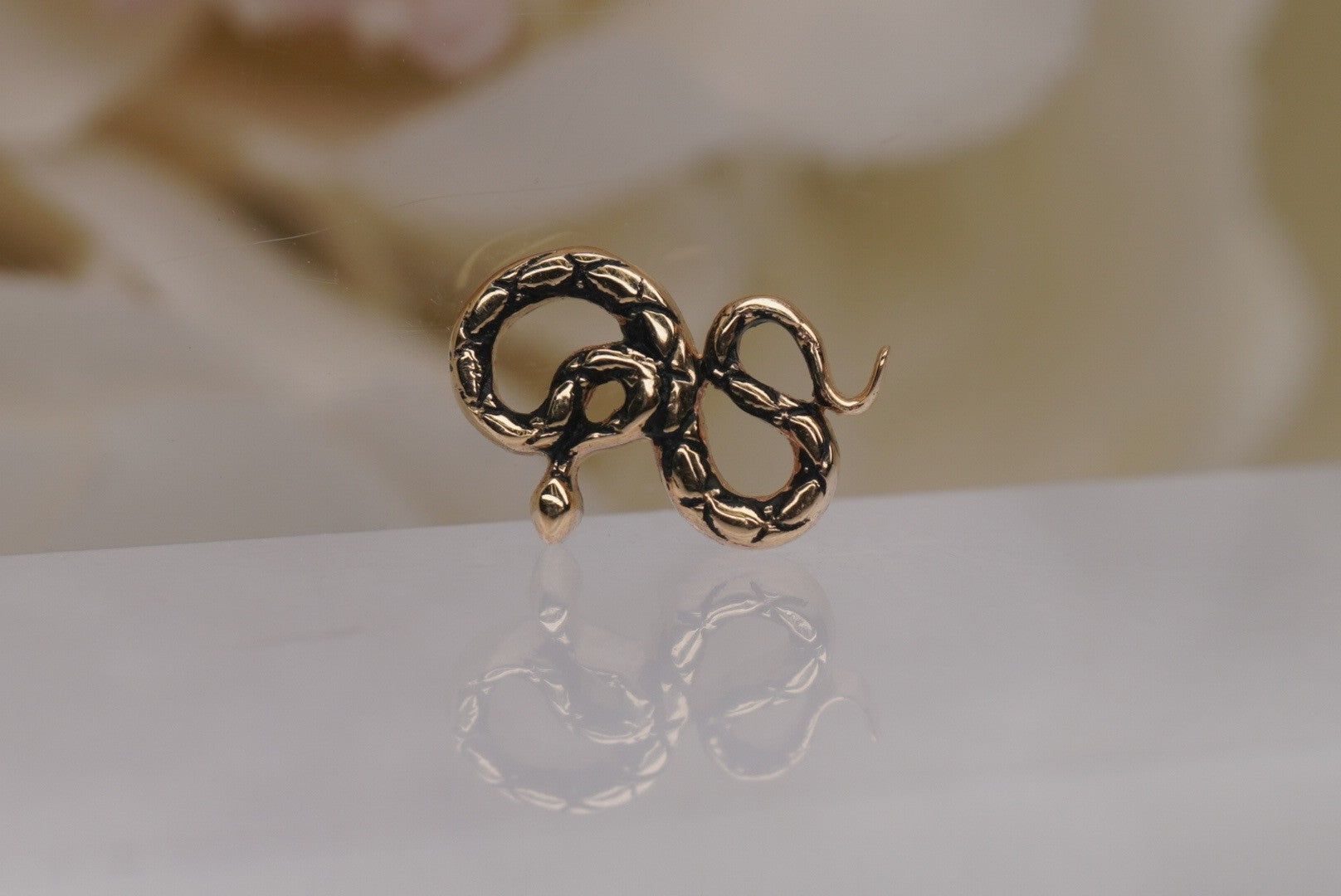 Coiled Snake