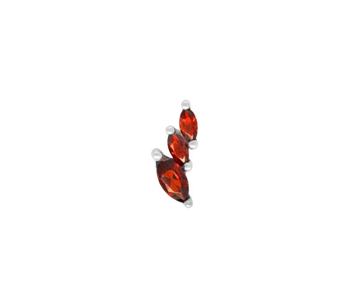 Multiplicity-RIGHT with Garnet