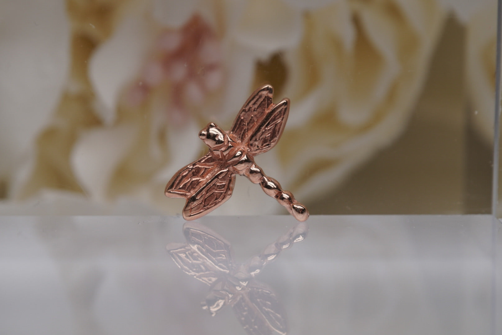 Damselito (Dragonfly)