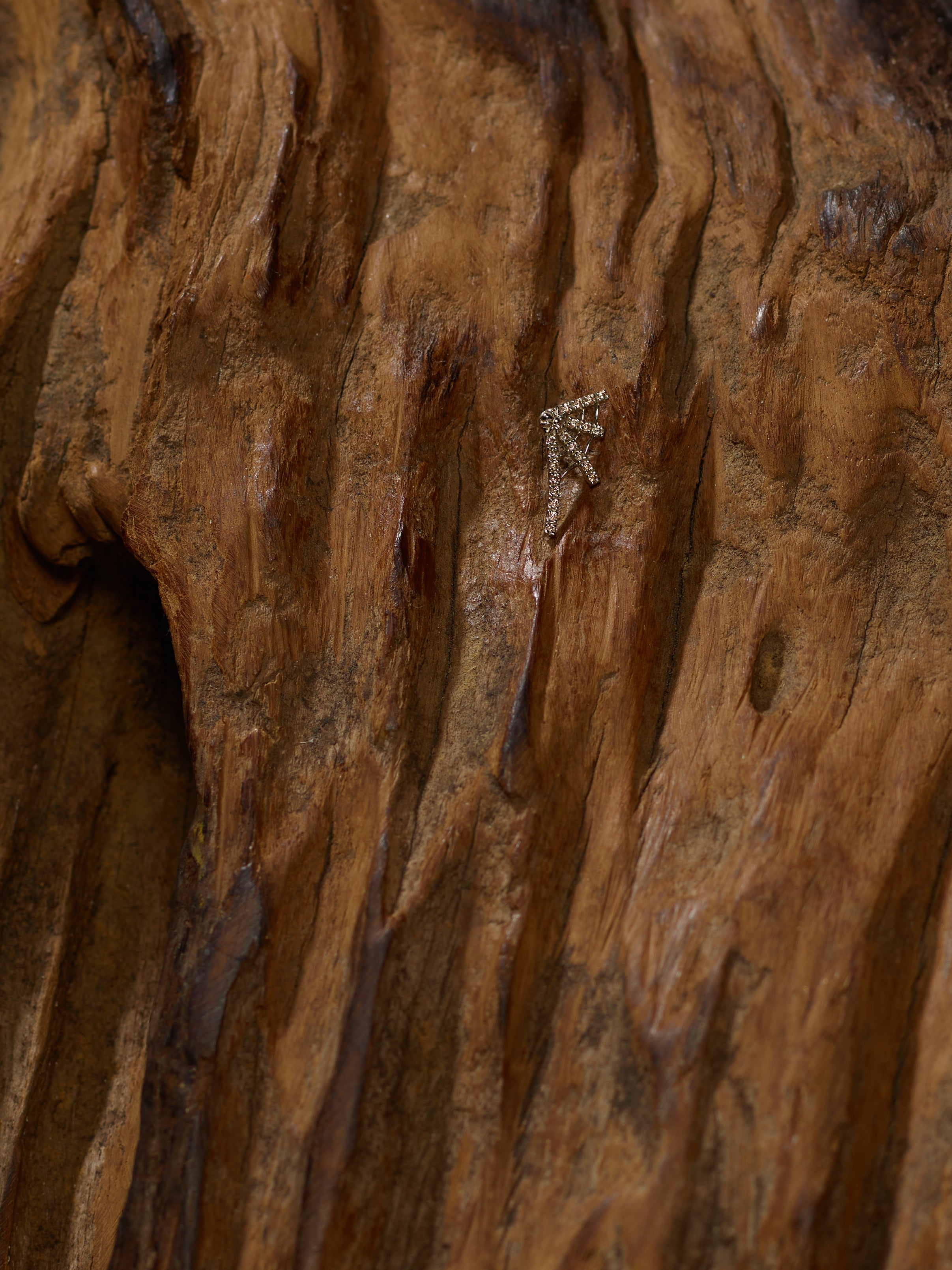 Tarantula Web with Champagne Crystals