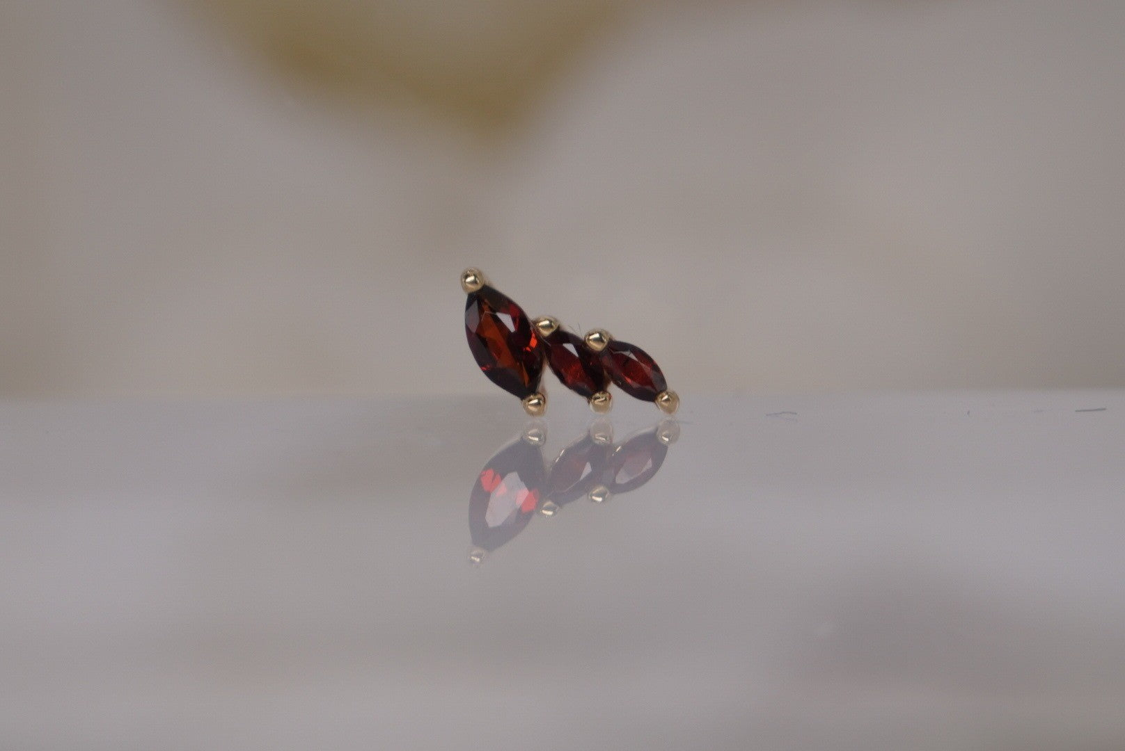 Multiplicity-LEFT with Garnet