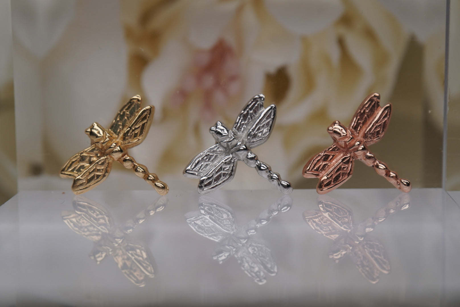 Damselito (Dragonfly)