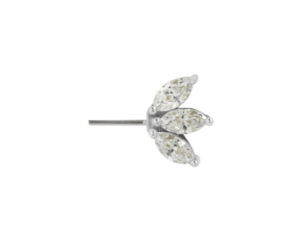 Moet- Forward Facing with Crystals white gold stock image