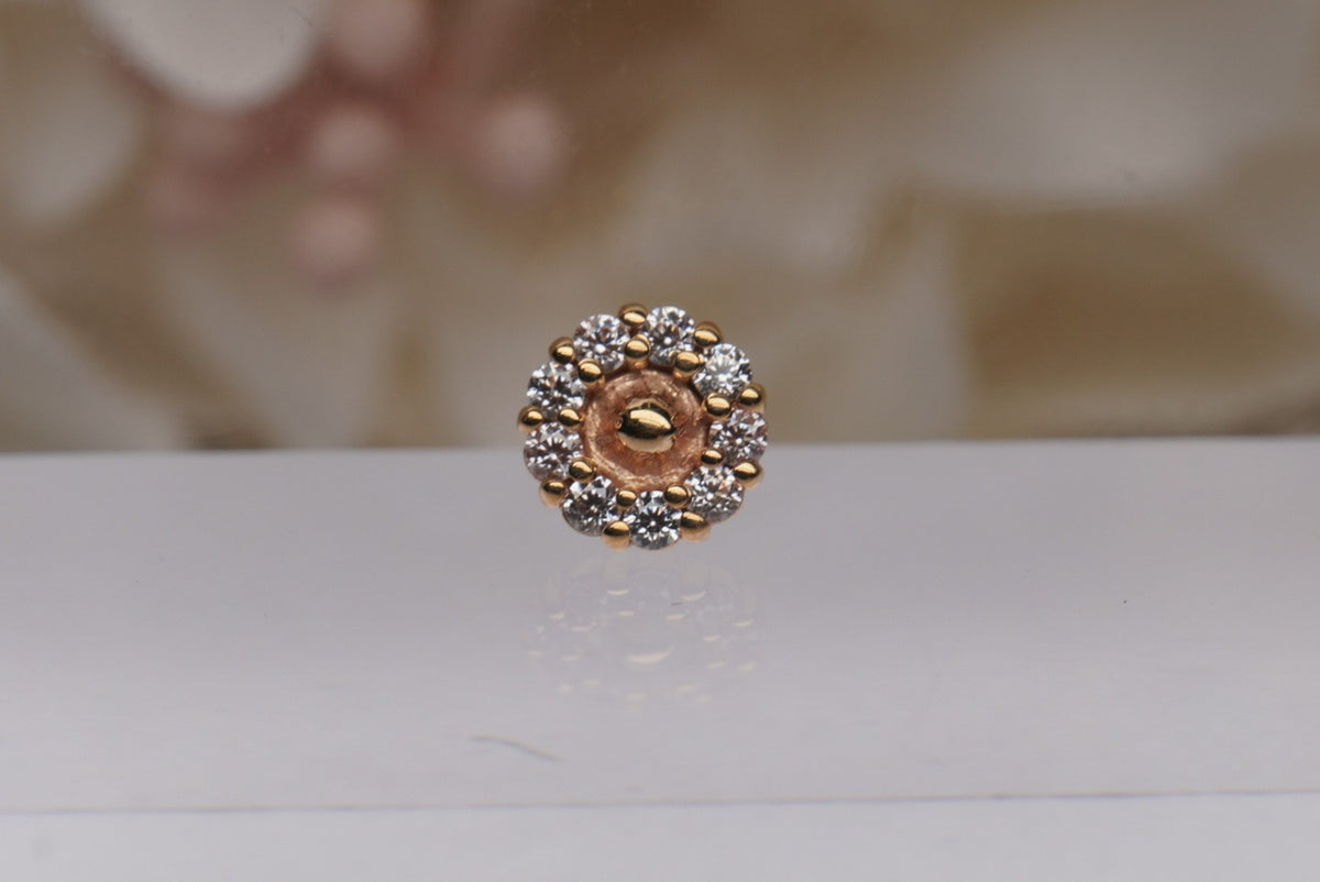 Photo of 14k yellow gold 5.5mm "Daisy", front view