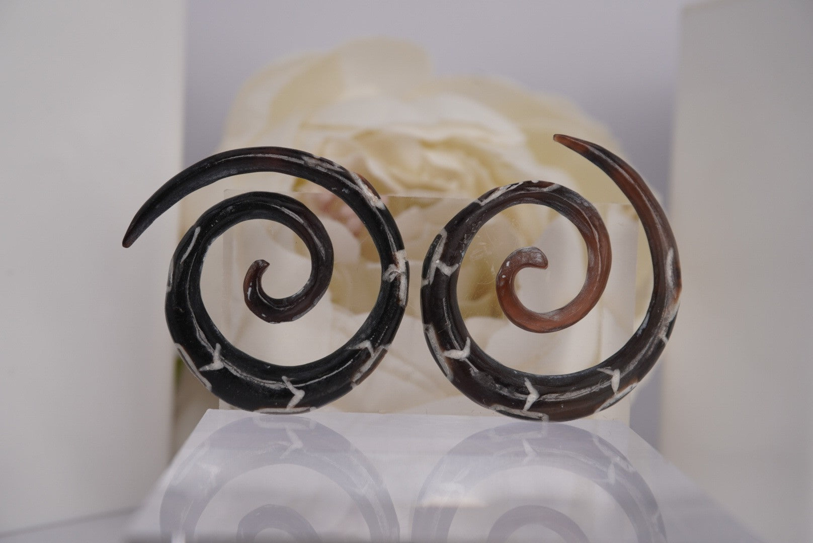 4g Spirals with Paua Shell