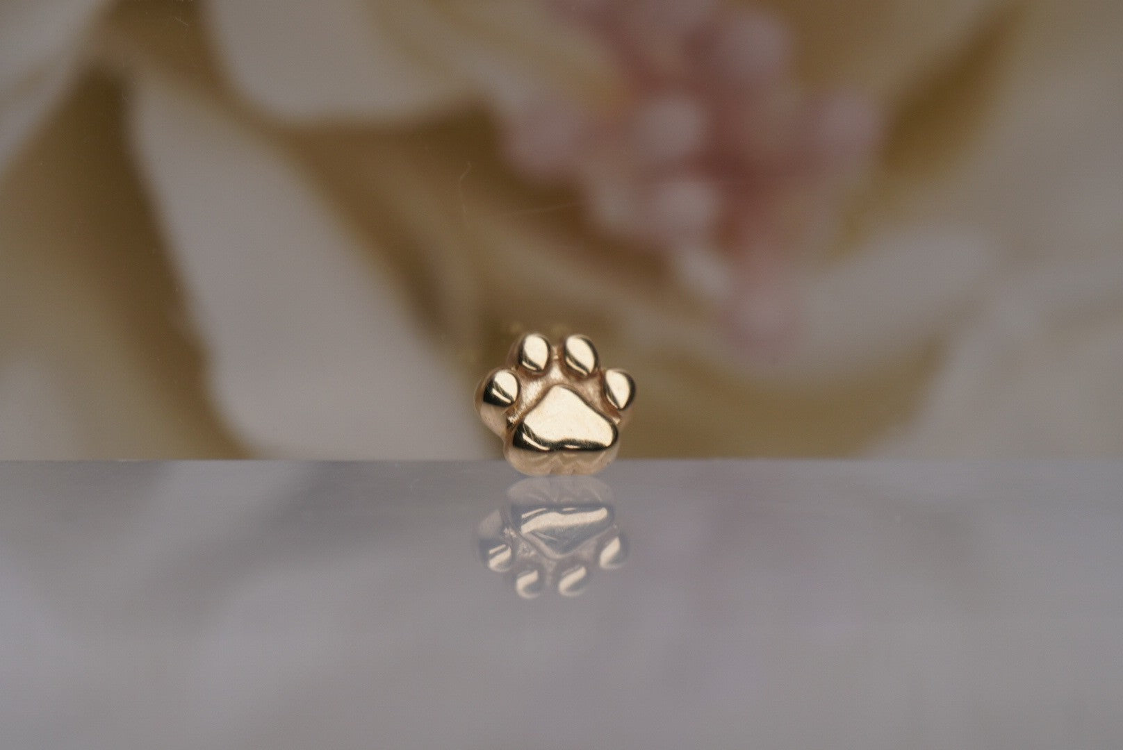 Flat Dog Paw