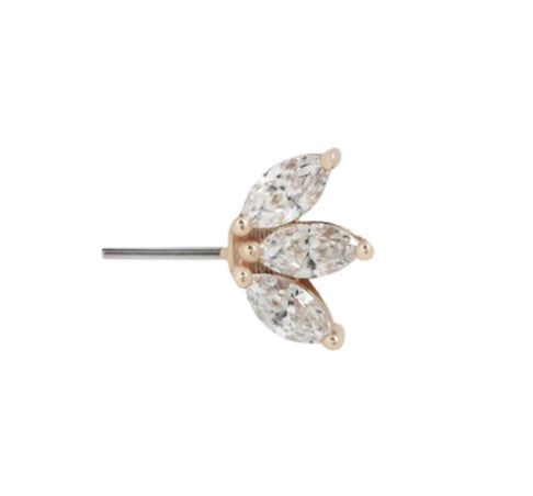 Moet- Forward Facing with Crystals