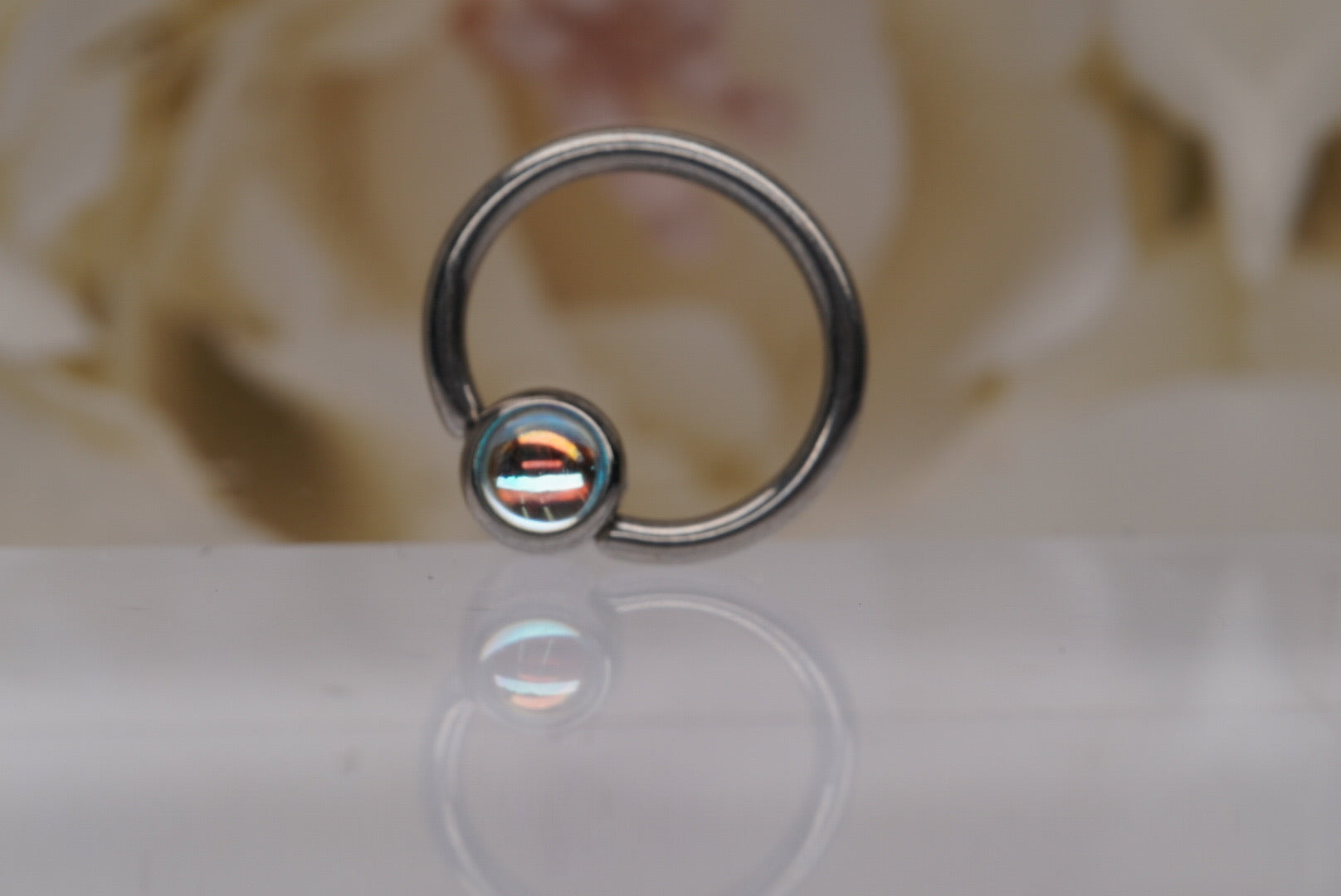 Captive Bead with Natural Paua Shell