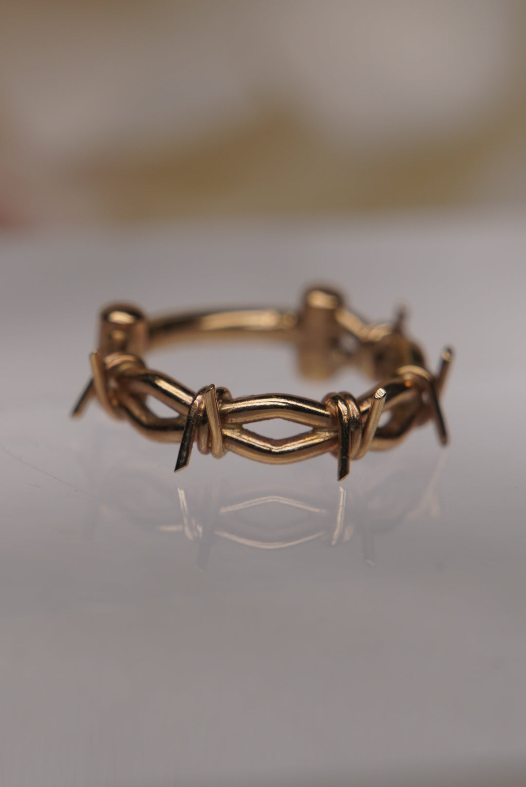 Daniella's Crown of Thorns Clicker