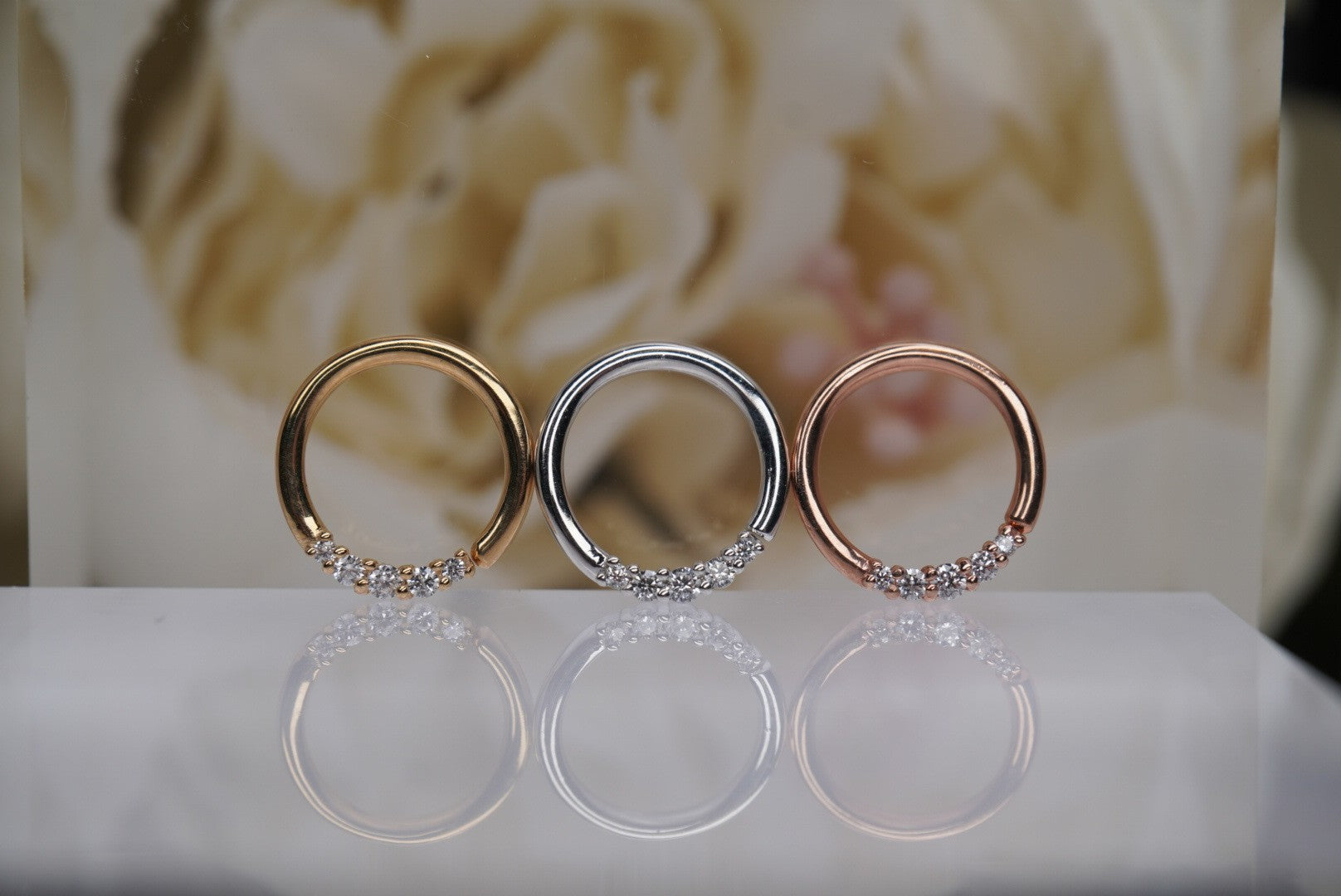 Sophia Seamless Ring- 16g 5/16"