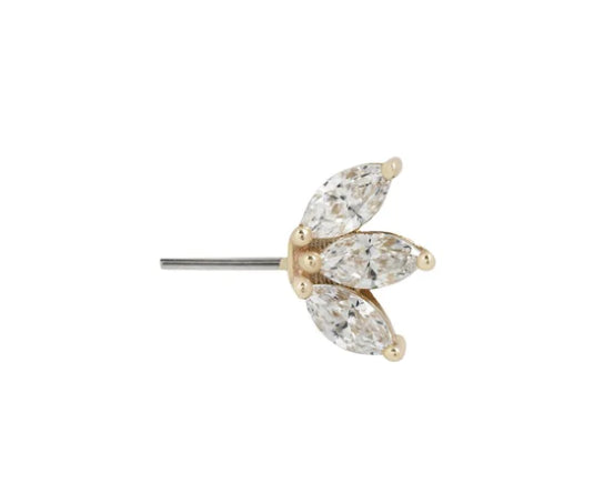 Moet- Forward Facing with Crystals yellow gold stock image
