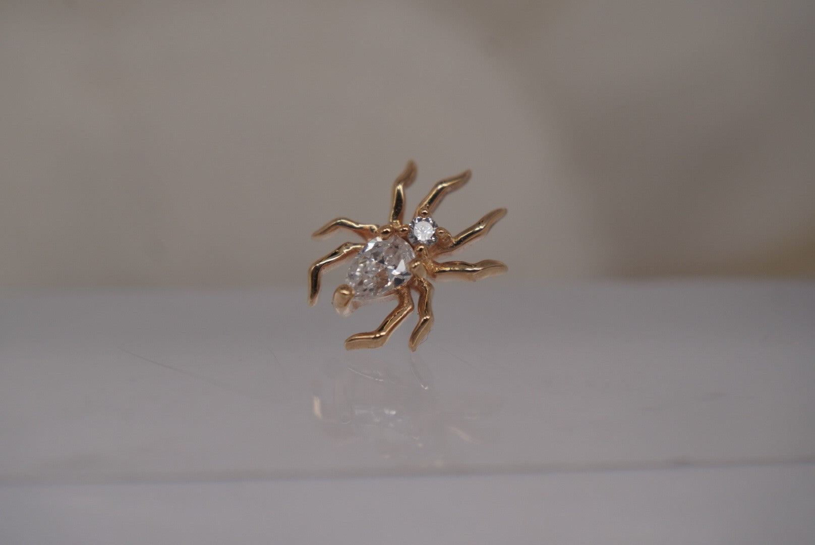 Arachne Spider - CZ