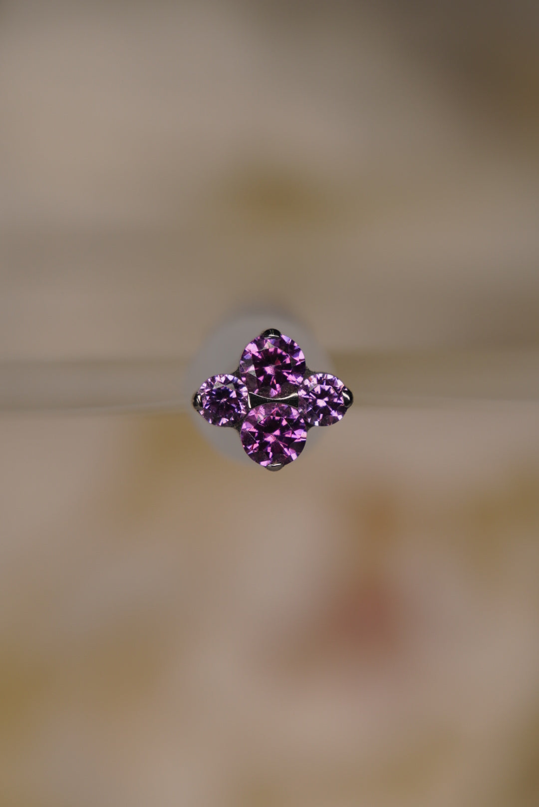 North Star (Fancy Purple)