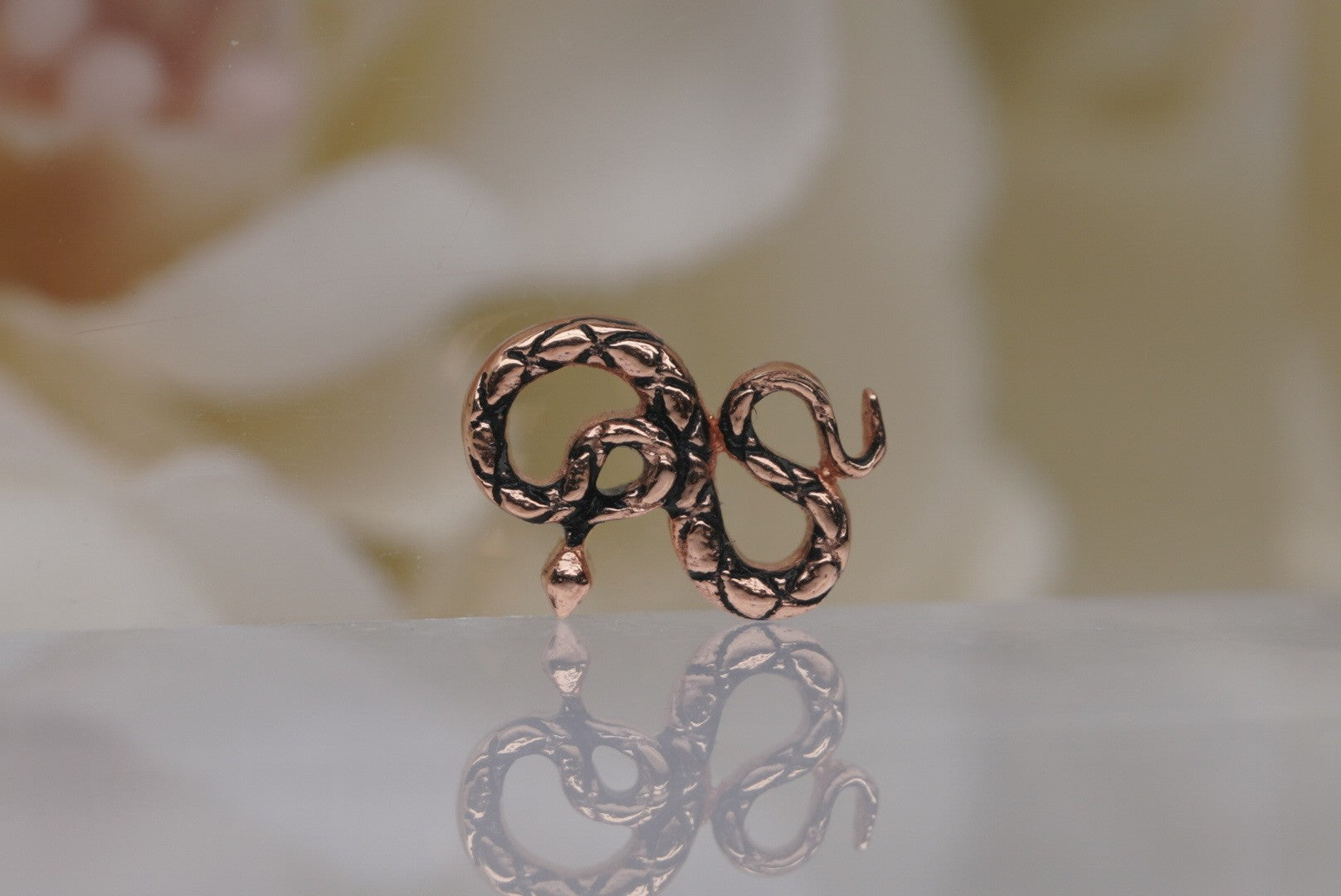 Coiled Snake