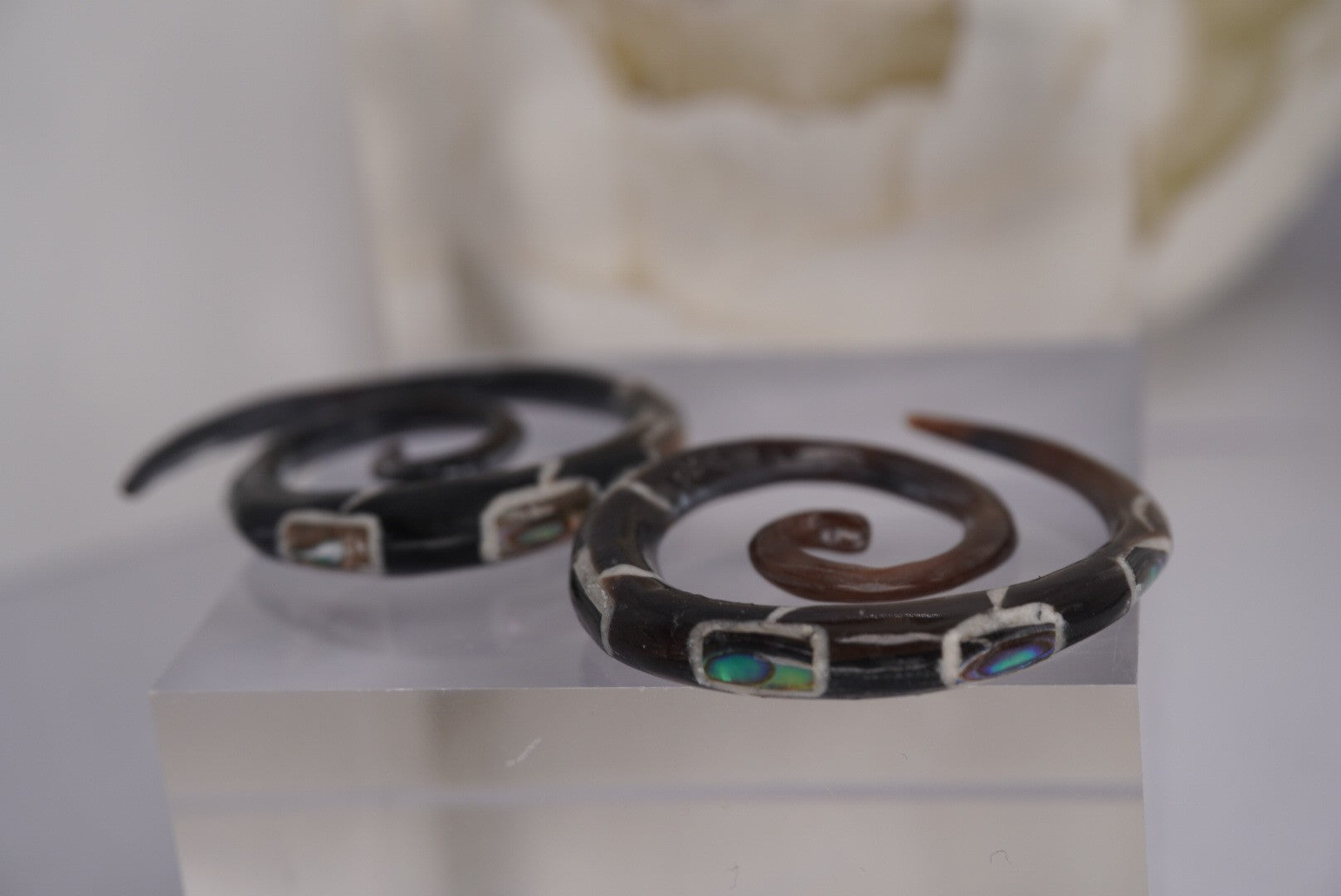 4g Spirals with Paua Shell