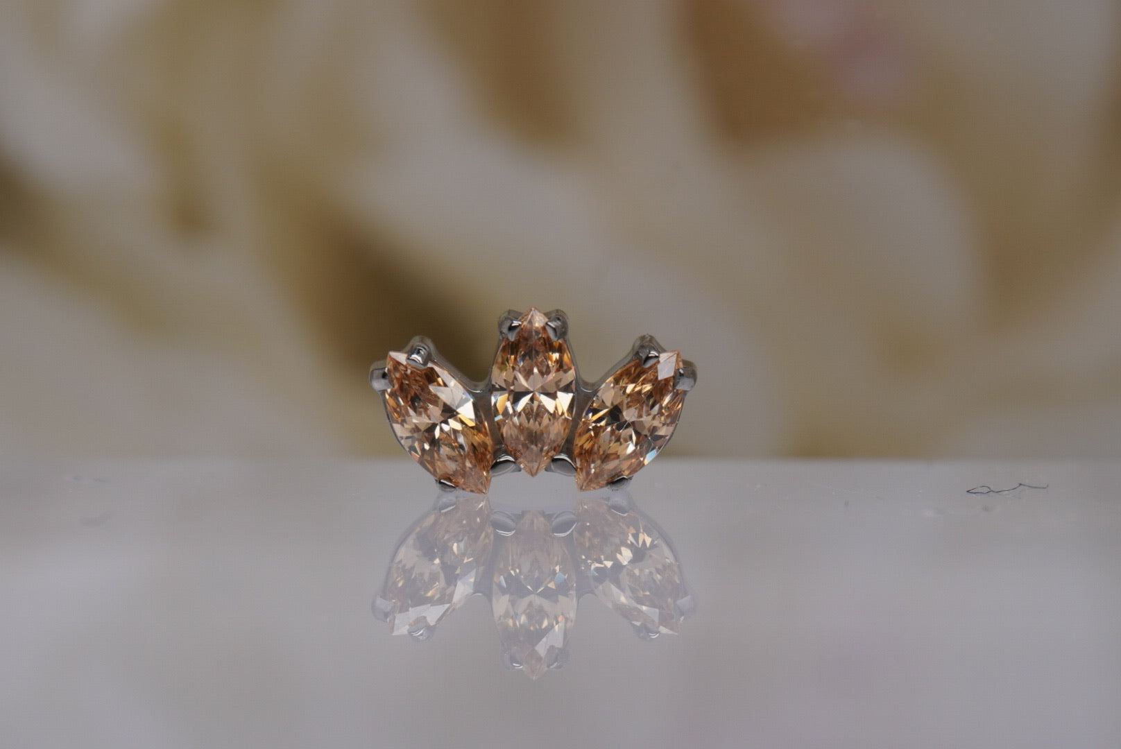 Champagne Marquis Fan 16g