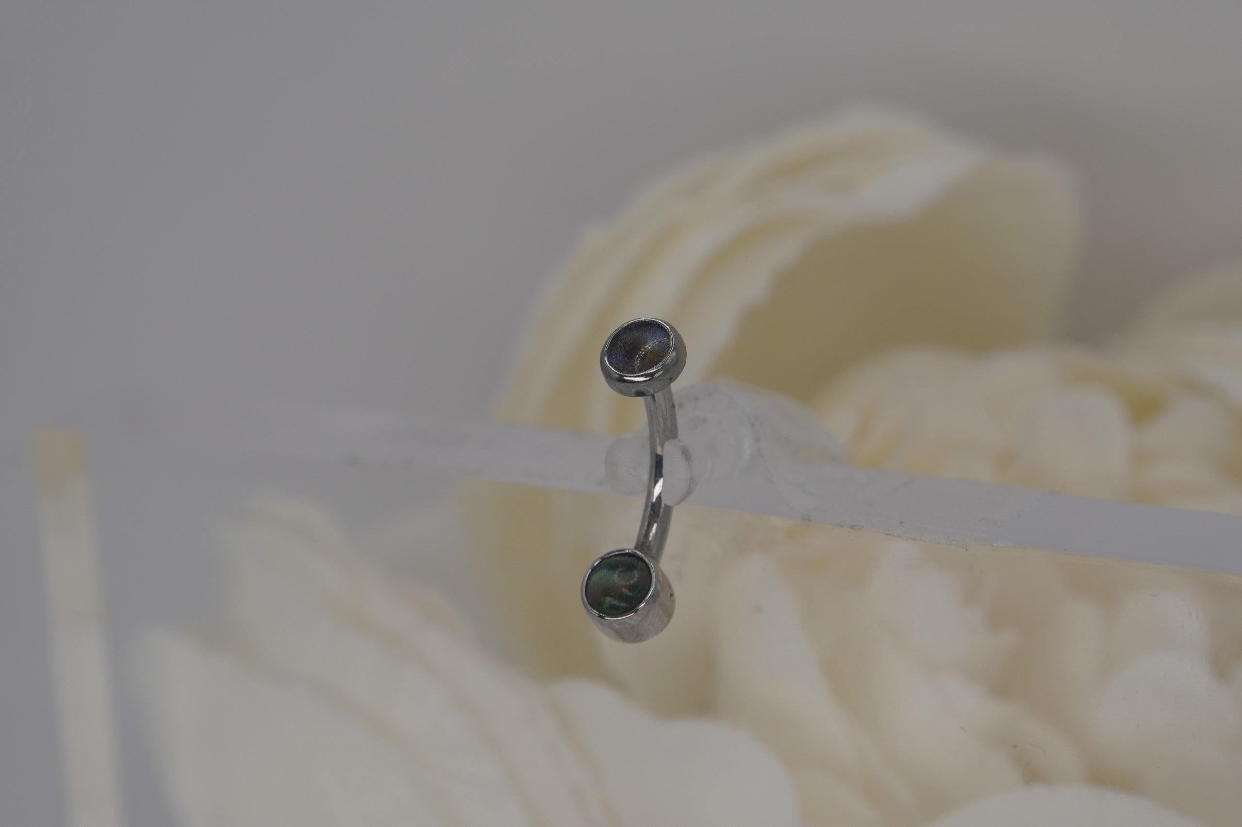 Paua Shell 4x4mm Navel