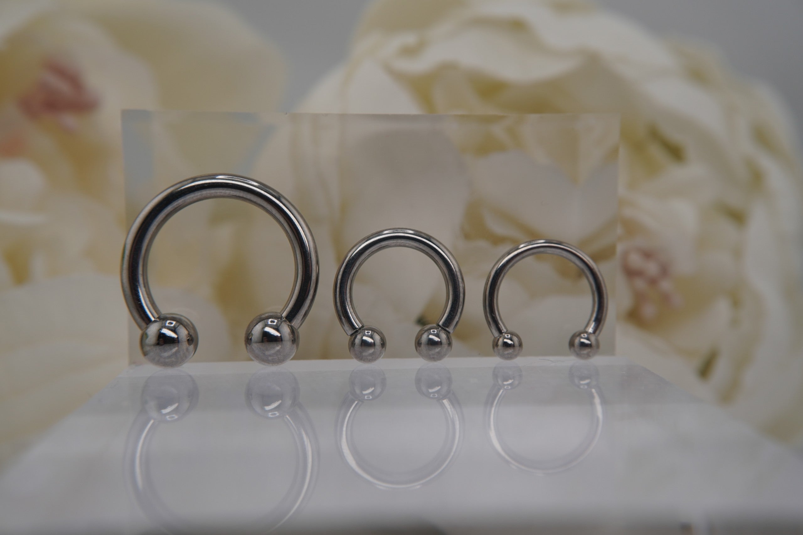 Circular Barbell- 12g