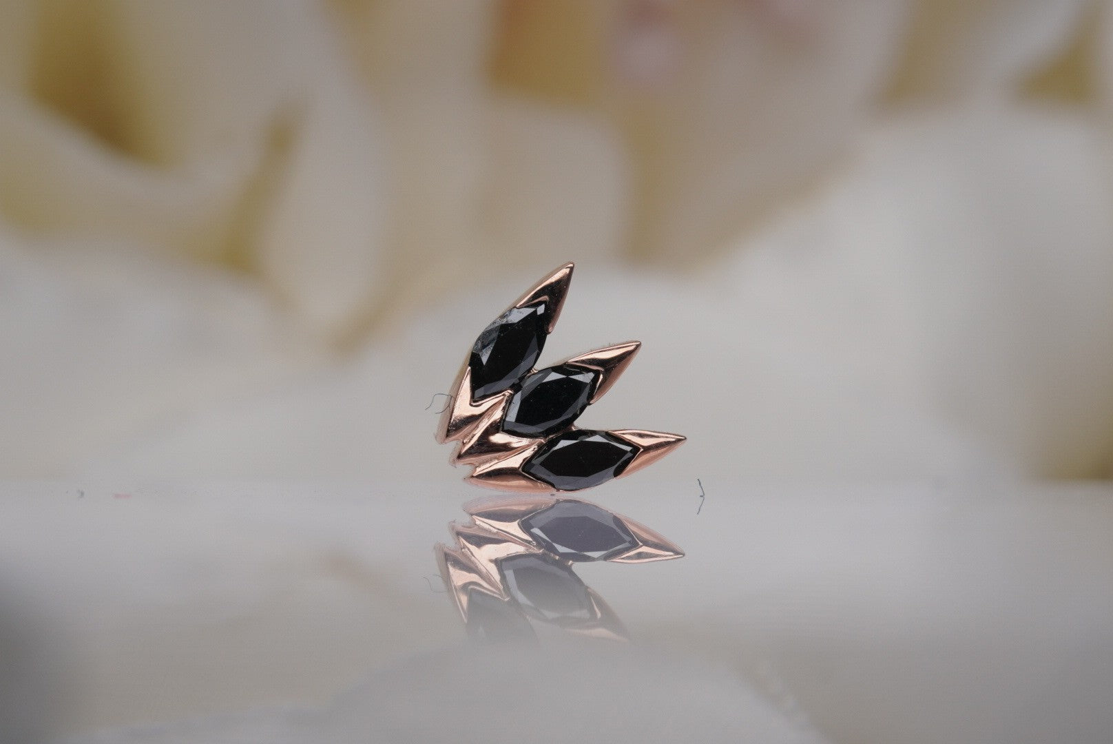 Xanadu with Black Diamonds