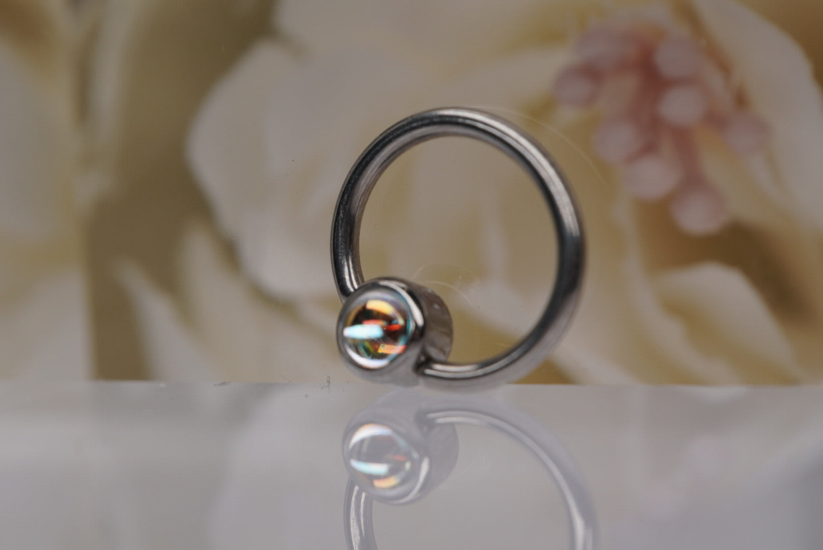 Captive Bead with Natural Paua Shell