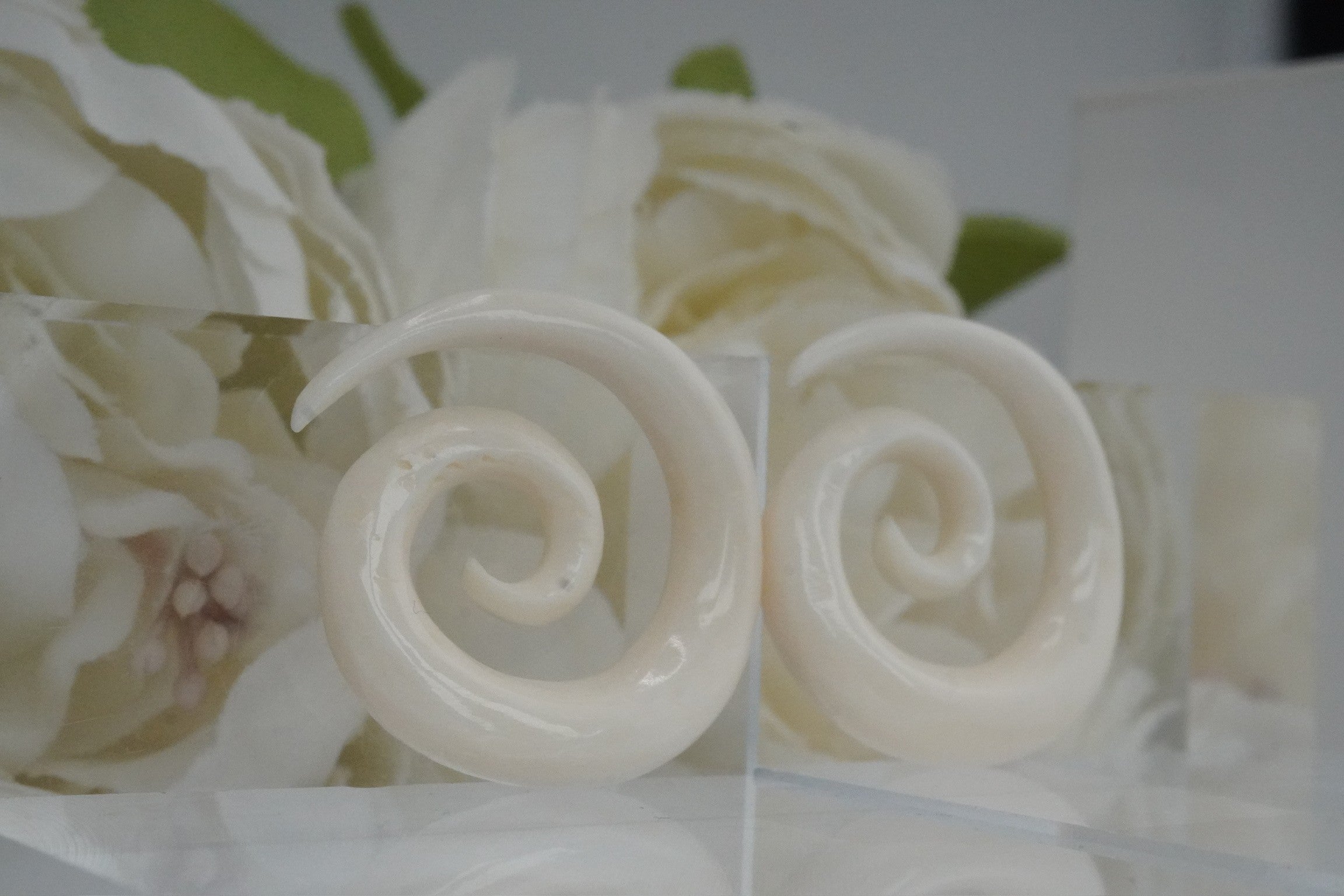 White Shell Spirals- 4g