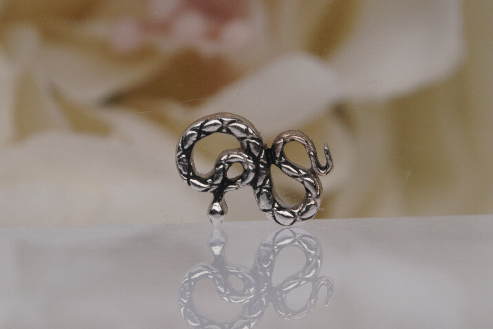 Coiled Snake