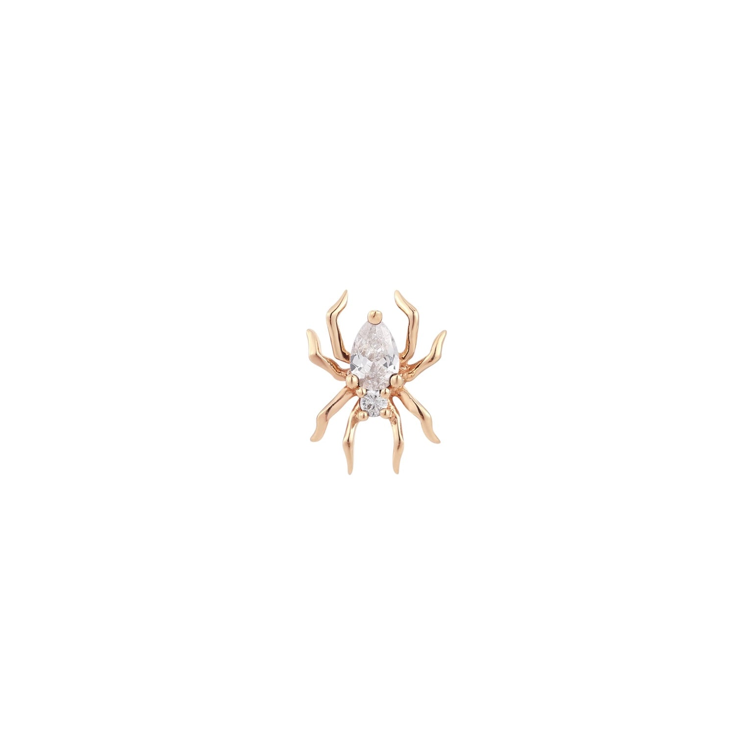 Arachne Spider - CZ