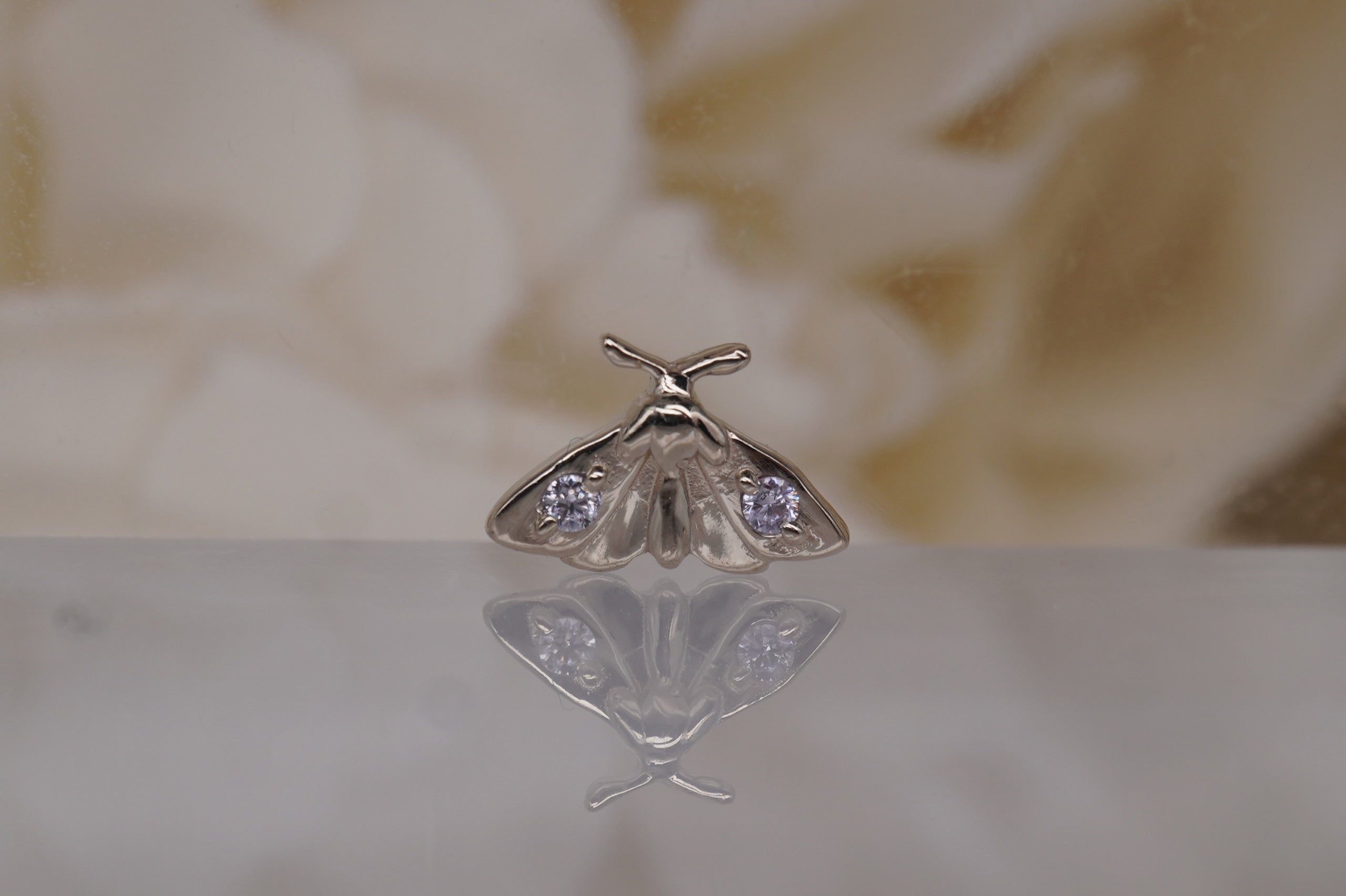 Norvoch Atlas Moth Threadless End | 14k White Gold Piercing Jewelry
