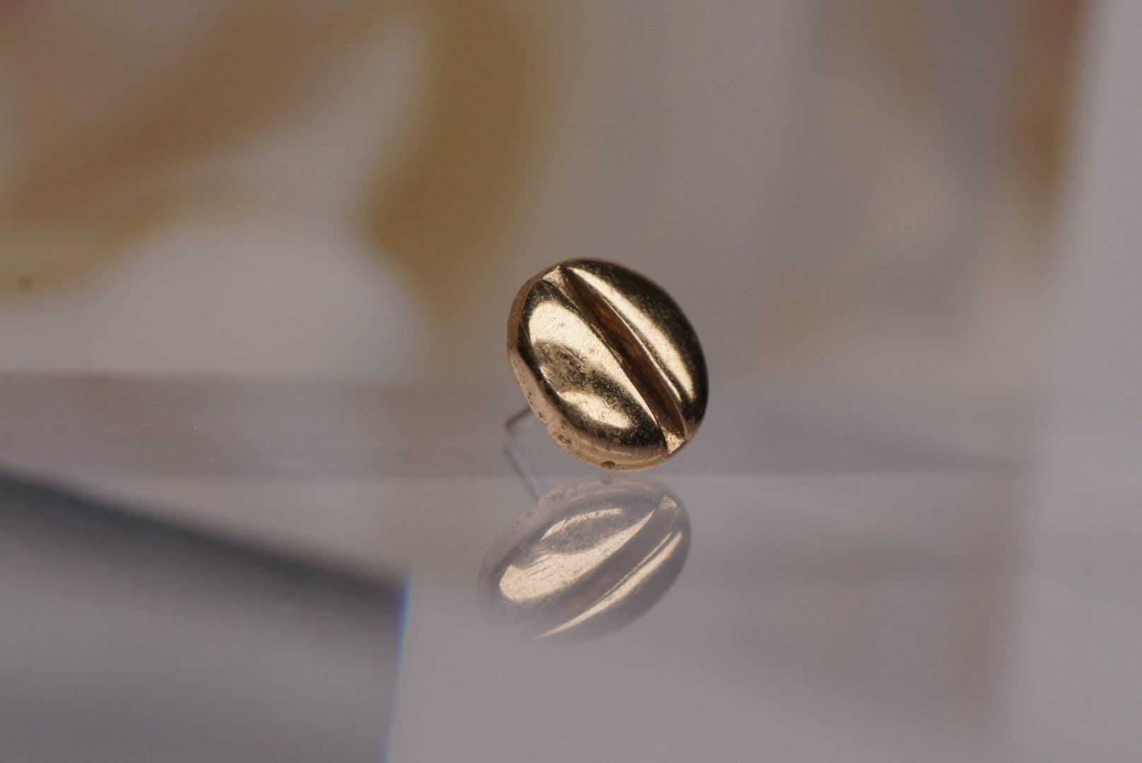 Flat Head in Gold