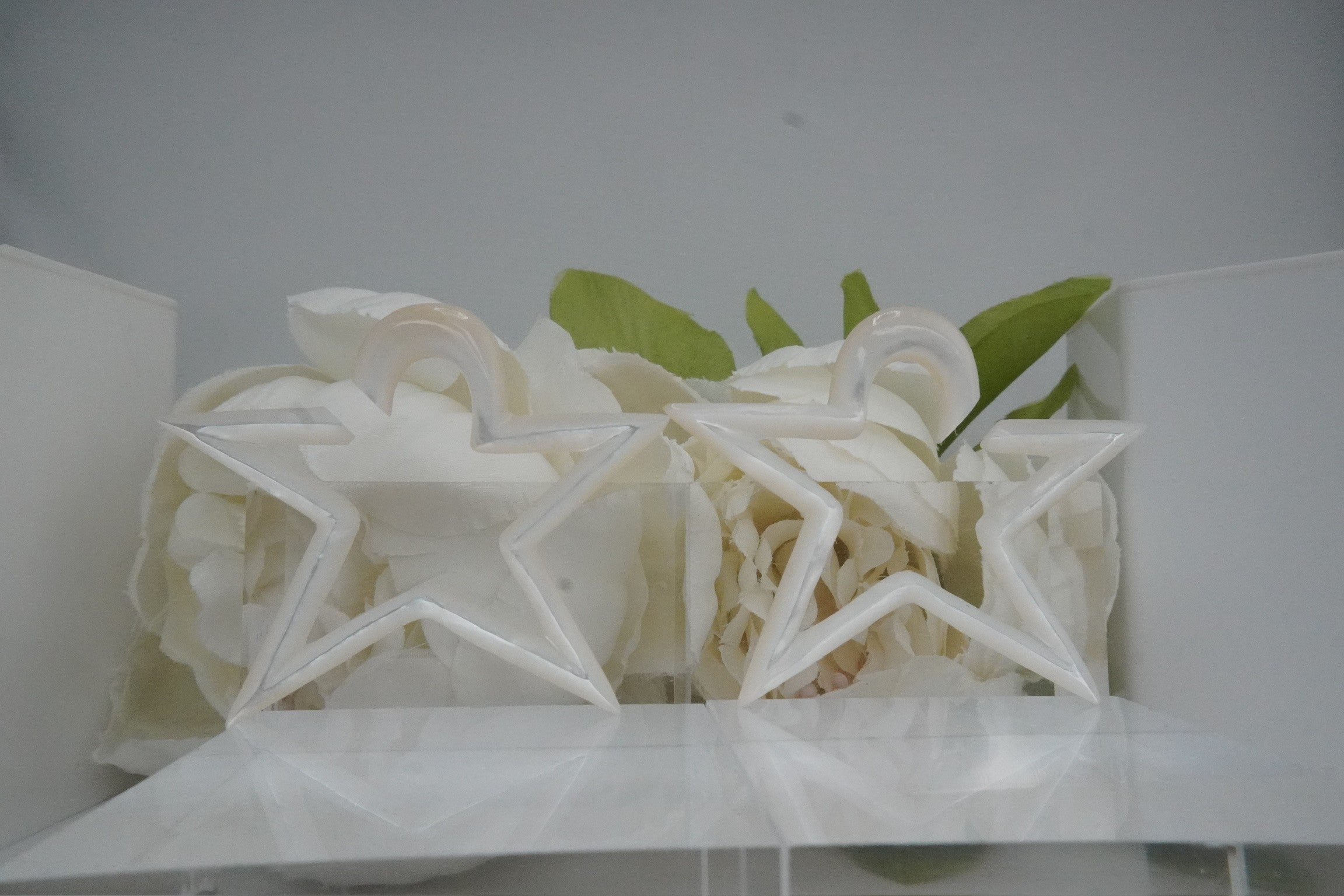 Shell Stars