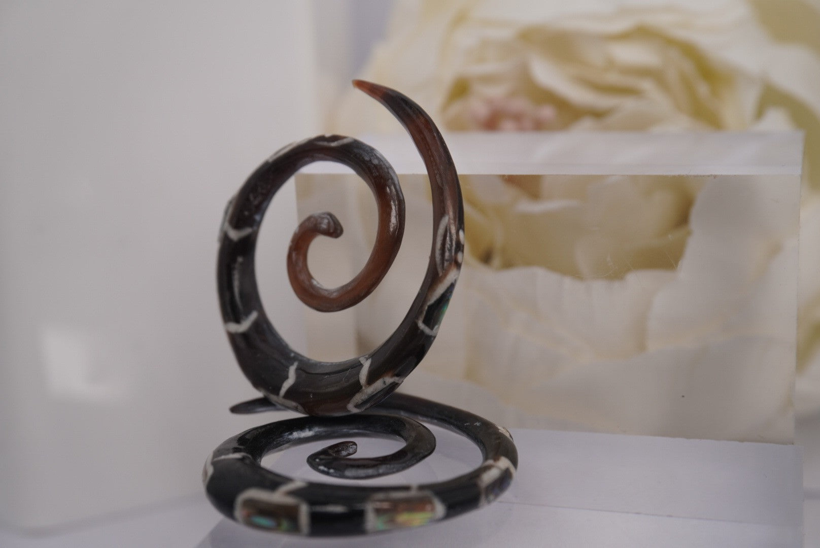4g Spirals with Paua Shell