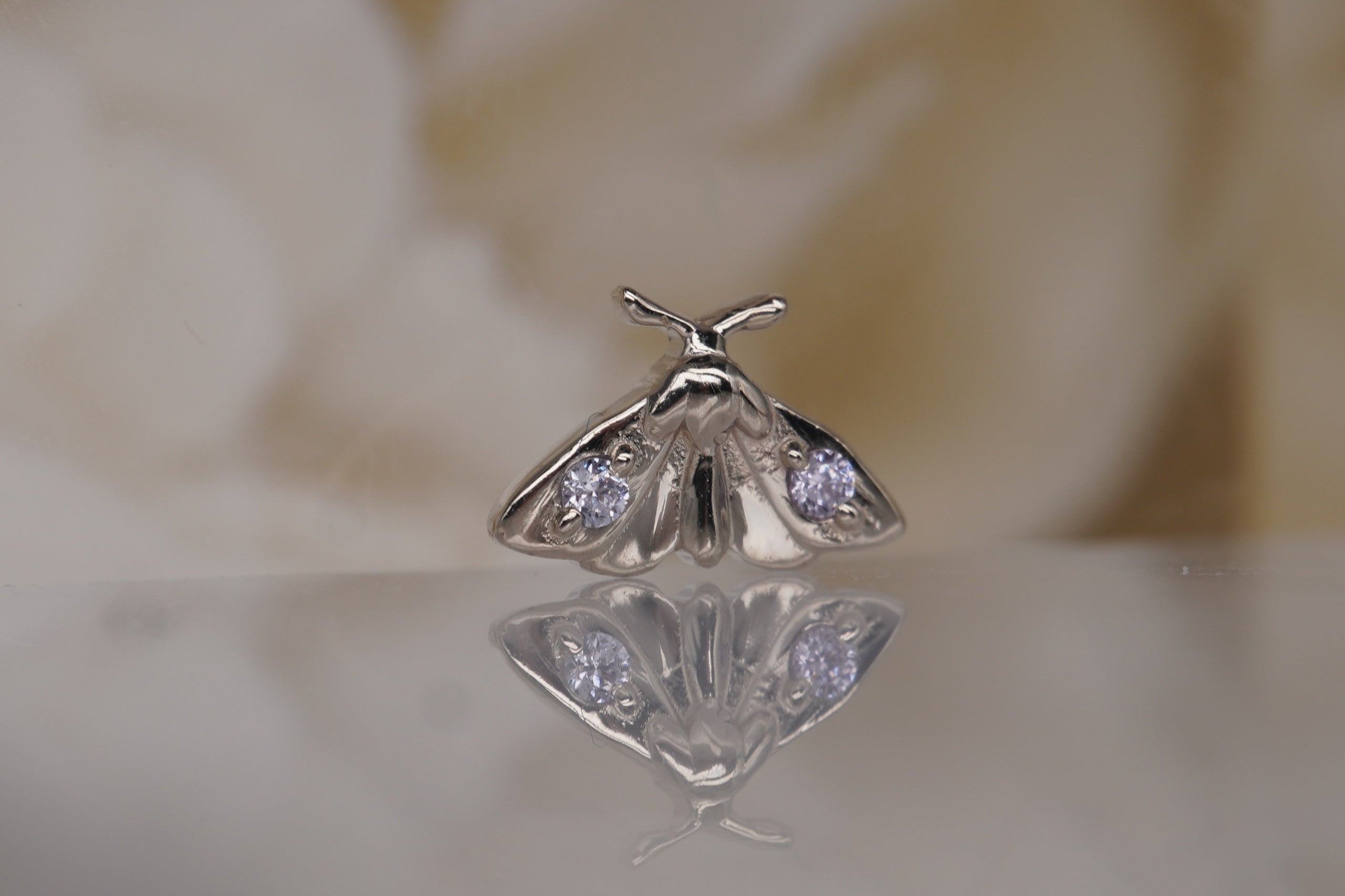 Norvoch Atlas Moth Threadless End | 14k White Gold Piercing Jewelry