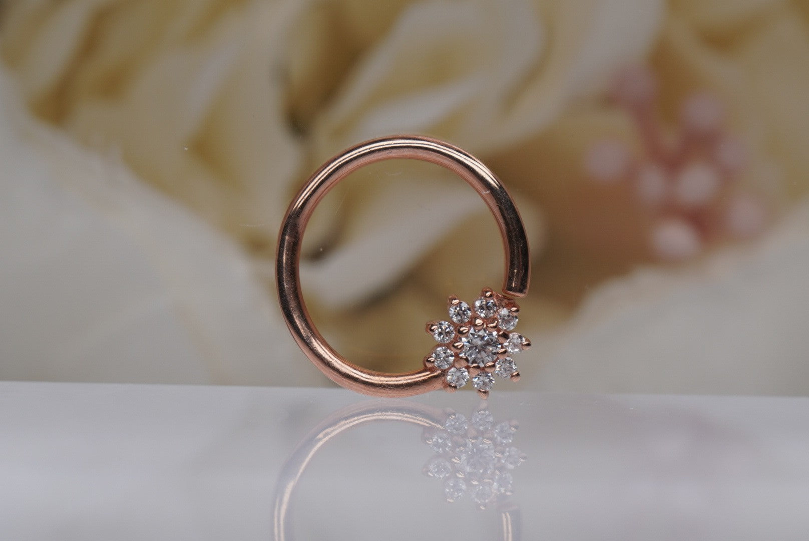 Eloise Seamless Ring- 16g 3/8"