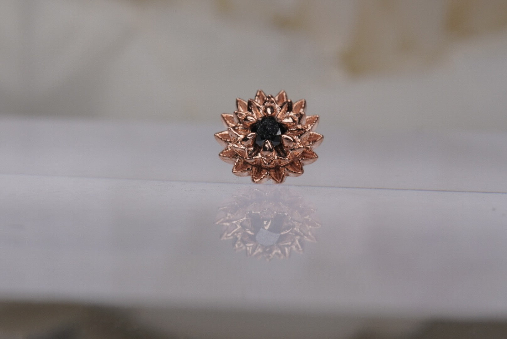 Dahlia with Black Diamonds