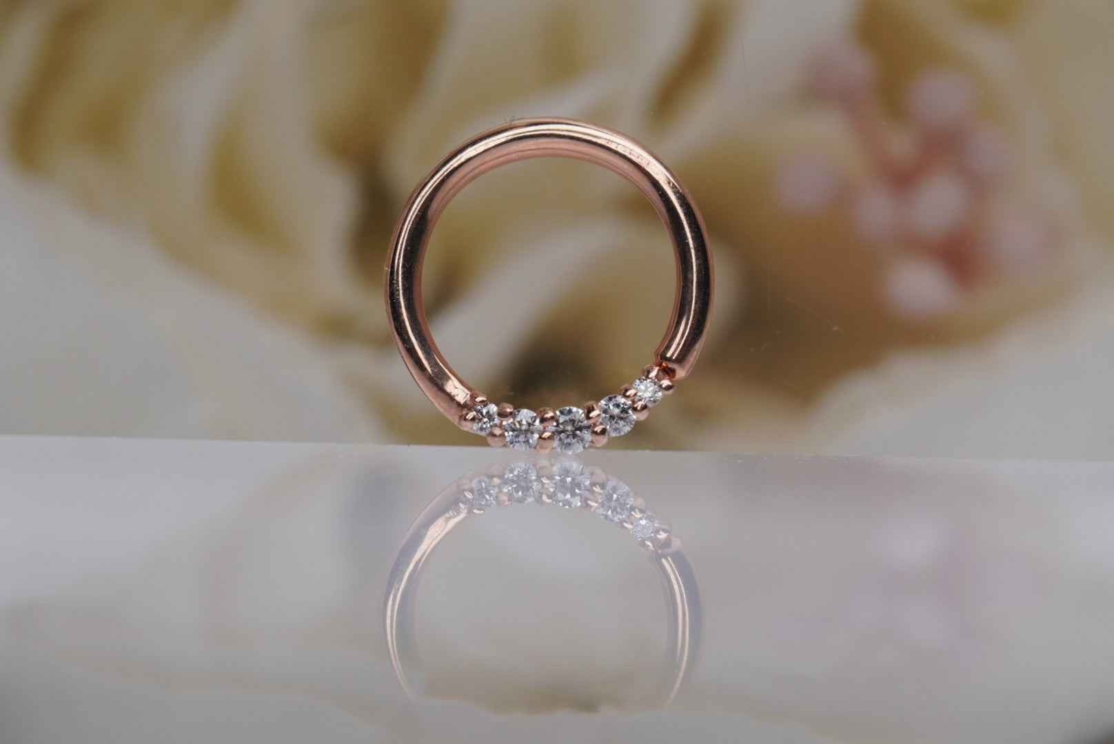 Sophia Seamless Ring- 16g 5/16"