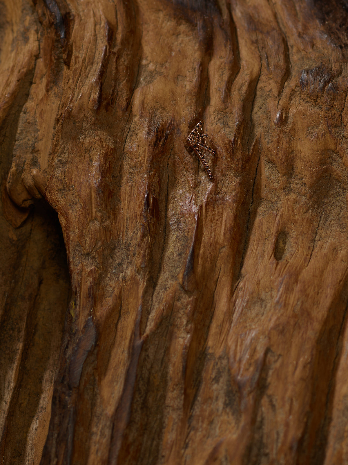 Tarantula Web with Coffee Crystals in Rose Gold