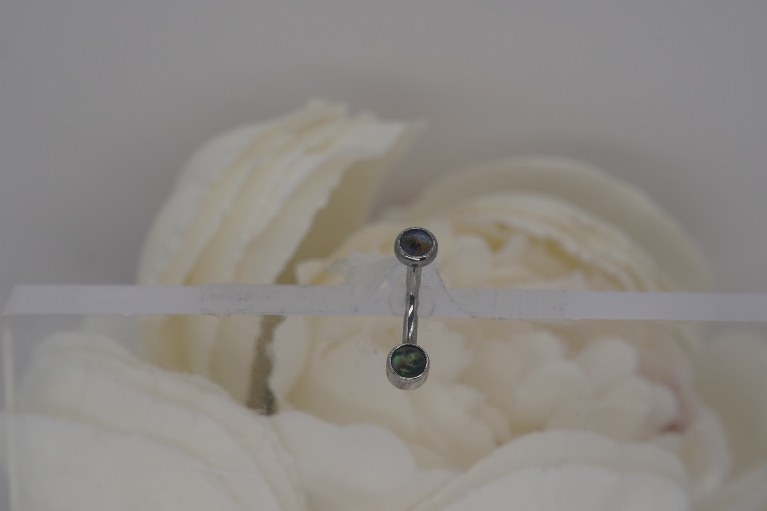 Paua Shell 4x4mm Navel