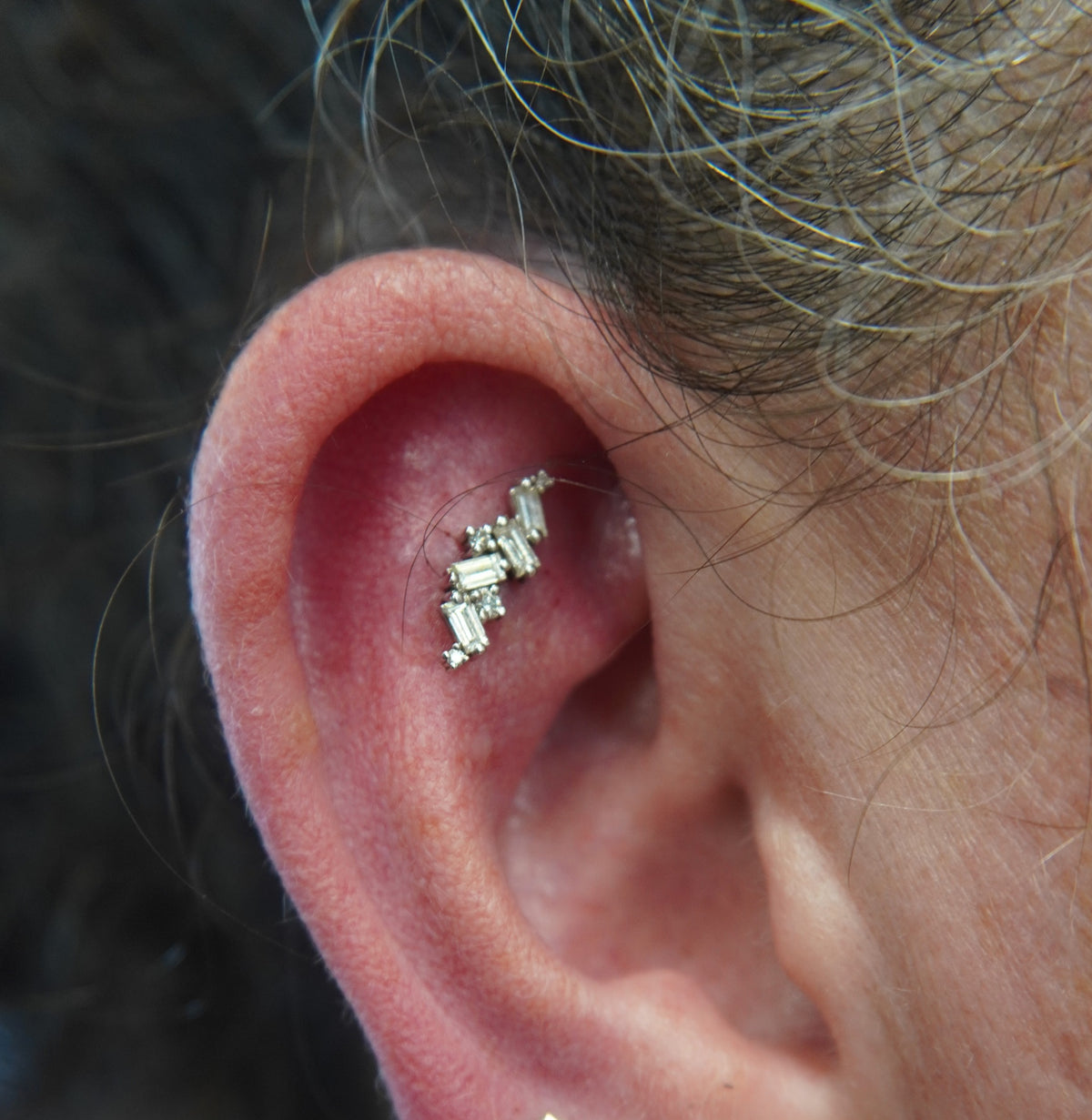 BVLA Genesis in white gold ear piercing helix