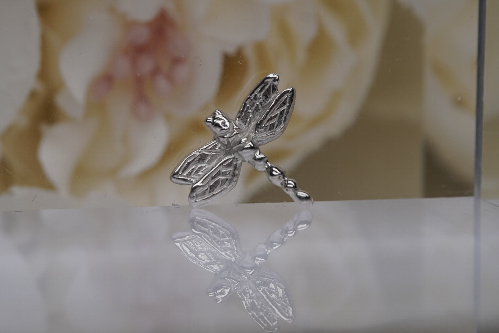 Damselito (Dragonfly)