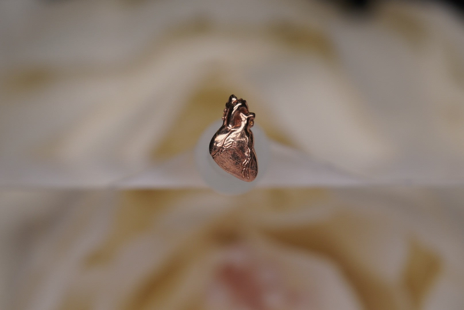 Anatomical Heart in Gold