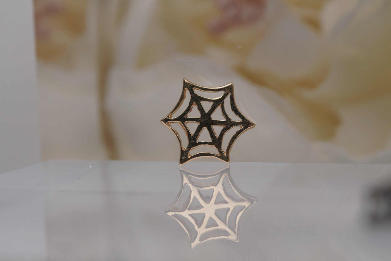 Spider Web