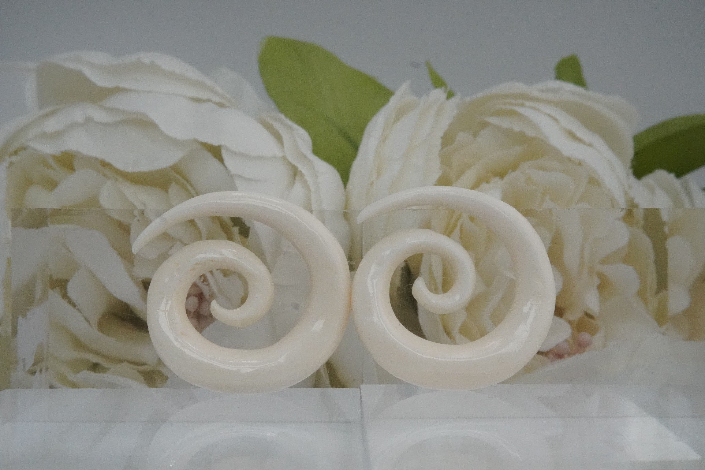 White Shell Spirals- 4g